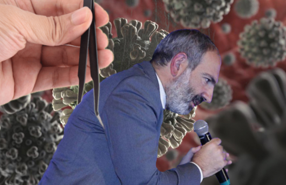 Коронавирус vs пинцет Пашиняна – 7or TV